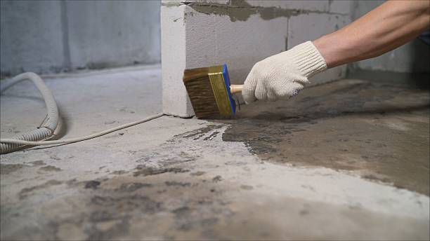 SJ Waterproofing Pros Waterproofing coverage map for Hartsville, SC and surrounding area